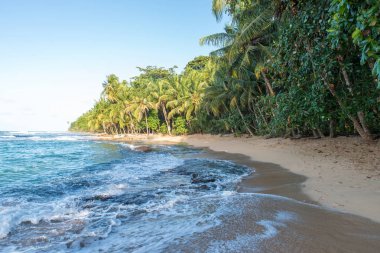 Vahşi Cennet plaj Manzanillo Park Kosta Rika