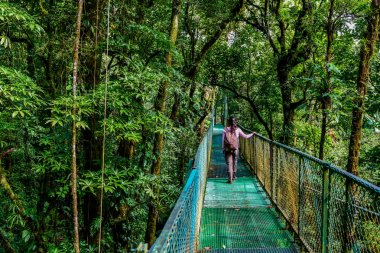 Cloudforest, Monteverde, Kosta Rika Bridge'de asılı üzerinde genç kadın.