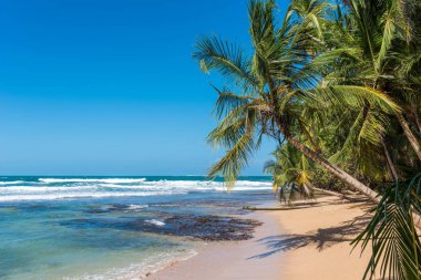 Vahşi Cennet plaj Manzanillo Park Kosta Rika