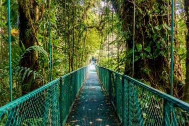 Cloudforest, Monteverde, Kosta Rika Bridge'de asılı.