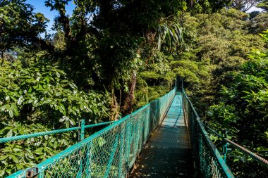Cloudforest - Kosta Rika Bridge'de asılı