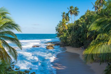 Vahşi Karayipler beach, Manzanillo, Puerto Viejo, Kosta Rika