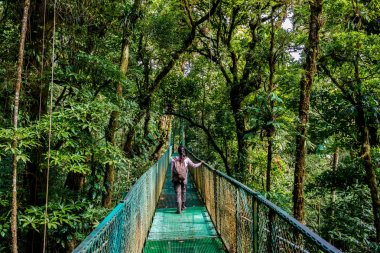 Cloudforest, Monteverde, Kosta Rika Bridge'de asılı üzerinde genç kadın.