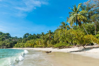Tropikal plaj içinde Manuel Antonio Milli Parkı, Costa Rica.