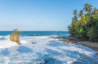 Vahşi Karayipler beach, Manzanillo, Puerto Viejo, Kosta Rika