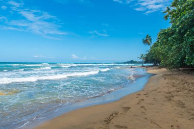 Playa Chiquita - vahşi beach yakın Puerto Viejo, Kosta Rika.
