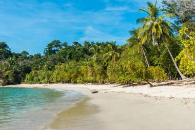 Tropikal plaj içinde Manuel Antonio Milli Parkı, Costa Rica.