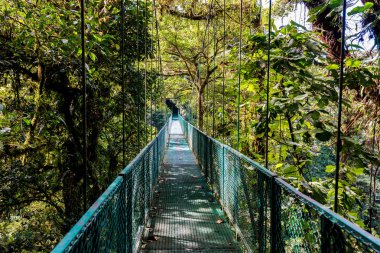 Cloudforest, Monteverde, Kosta Rika Bridge'de asılı.