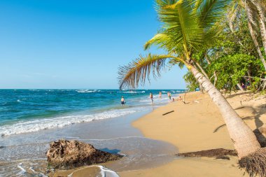 Kosta Rika Punta Uva Beach'te vahşi Karayip kıyılarında ile.