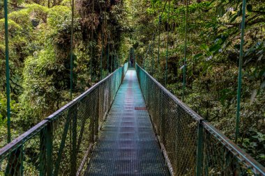 Cloudforest, Monteverde, Kosta Rika Bridge'de asılı.
