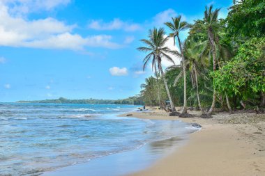 Playa Cocles - tropikal plaj yakın Puerto Viejo, Kosta Rika.