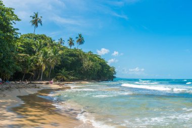 Playa Chiquita - vahşi beach yakın Puerto Viejo, Kosta Rika.