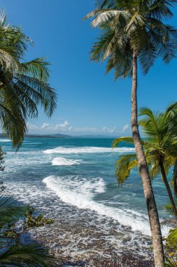 Vahşi Karayipler beach, Manzanillo, Puerto Viejo, Kosta Rika