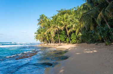 Vahşi Cennet plaj Manzanillo Park Kosta Rika