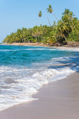 Kosta Rika Punta Uva Beach'te vahşi Karayip kıyılarında ile.
