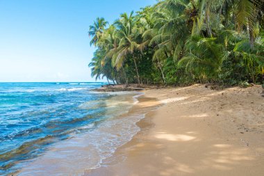 Vahşi Cennet plaj Manzanillo Park Kosta Rika