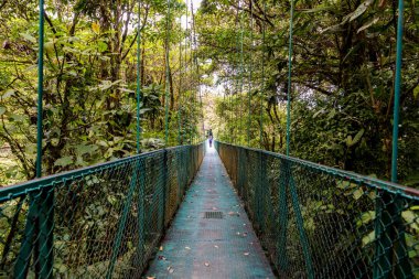 Cloudforest - Kosta Rika Bridge'de asılı