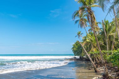 Playa Negra - siyah beach adlı Cahuita, Limon, Kosta Rika.