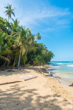 Playa Chiquita - vahşi beach yakın Puerto Viejo, Kosta Rika.