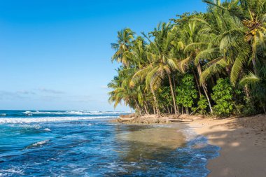 Vahşi Cennet plaj Manzanillo Park Kosta Rika