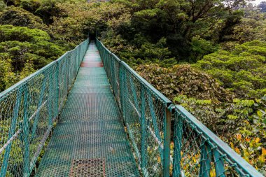 Cloudforest - Kosta Rika Bridge'de asılı