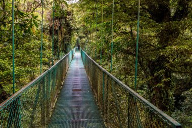 Cloudforest, Monteverde, Kosta Rika Bridge'de asılı.