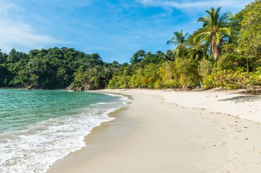 Tropikal plaj içinde Manuel Antonio Milli Parkı, Costa Rica.