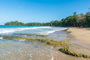 Kosta Rika Punta Uva Beach'te vahşi Karayip kıyılarında ile.