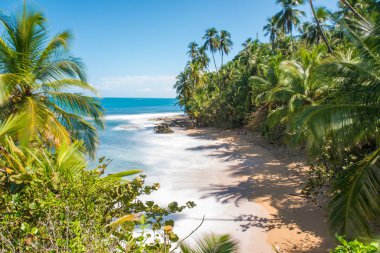 Vahşi Karayipler beach, Manzanillo, Puerto Viejo, Kosta Rika