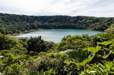 Göl yunuslar, vulcano Poas Kosta Rika