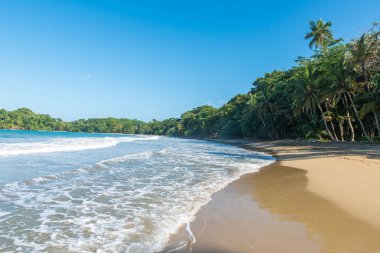 Kosta Rika Punta Uva Beach'te vahşi Karayip kıyılarında ile.