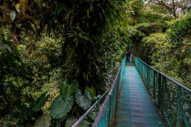 Cloudforest - Kosta Rika Bridge'de asılı