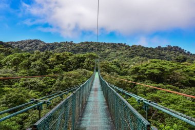 Cloudforest - Kosta Rika Bridge'de asılı