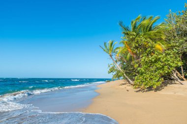 Kosta Rika Punta Uva Beach'te vahşi Karayip kıyılarında ile.