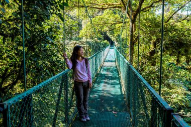 Cloudforest, Monteverde, Kosta Rika Bridge'de asılı üzerinde genç kadın.