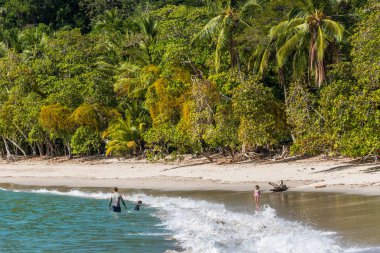Tropikal plaj içinde Manuel Antonio Milli Parkı, Costa Rica.