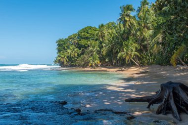 Vahşi Cennet plaj Manzanillo Park Kosta Rika