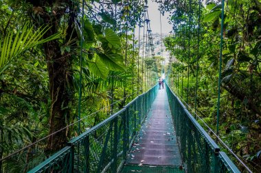 Hanging Bridge in Cloudforest, Monteverde, Costa Rica. clipart