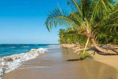 Kosta Rika Punta Uva Beach'te vahşi Karayip kıyılarında ile.