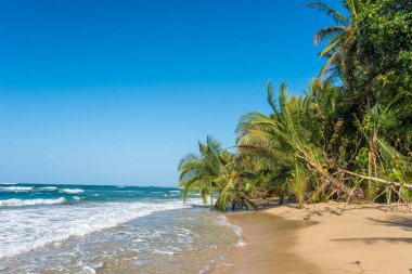Kosta Rika Punta Uva Beach'te vahşi Karayip kıyılarında ile.