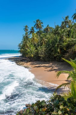 Vahşi Karayipler beach, Manzanillo, Puerto Viejo, Kosta Rika