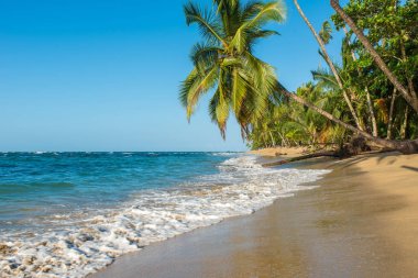 Kosta Rika Punta Uva Beach'te vahşi Karayip kıyılarında ile.