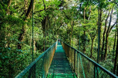 Cloudforest, Monteverde, Kosta Rika Bridge'de asılı.