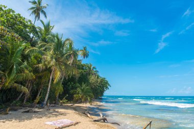 Playa Chiquita - vahşi beach yakın Puerto Viejo, Kosta Rika.