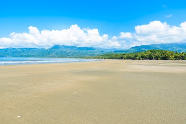 Marino Ballena Milli Parkı plaj ve tropikal orman içinde Punta Uvita, Kosta Rika ile.