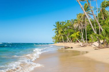 Kosta Rika Punta Uva Beach'te vahşi Karayip kıyılarında ile.