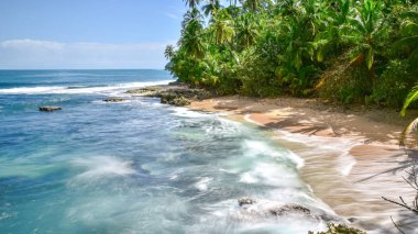 Vahşi Karayipler beach, Manzanillo, Puerto Viejo, Kosta Rika