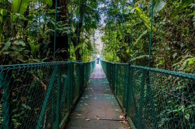Cloudforest - Kosta Rika Bridge'de asılı