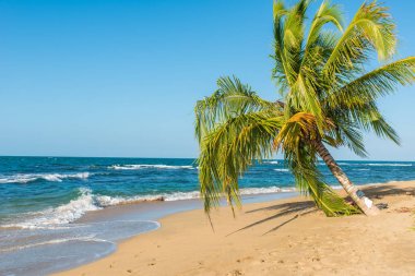 Kosta Rika Punta Uva Beach'te vahşi Karayip kıyılarında ile.