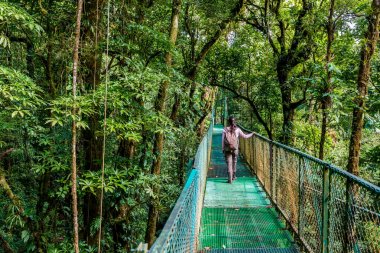 Cloudforest, Monteverde, Kosta Rika Bridge'de asılı üzerinde genç kadın.